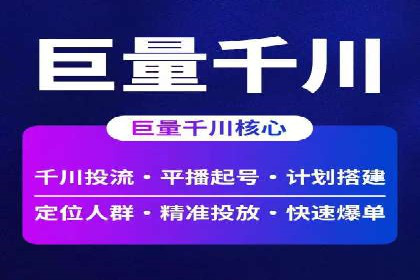 某公司通过竞价SEM优化搜索引擎排名案例